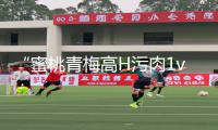 “蜜桃青梅高H污肉1v1”：下载APP畅玩手游，学习游戏攻略开启胜利之旅